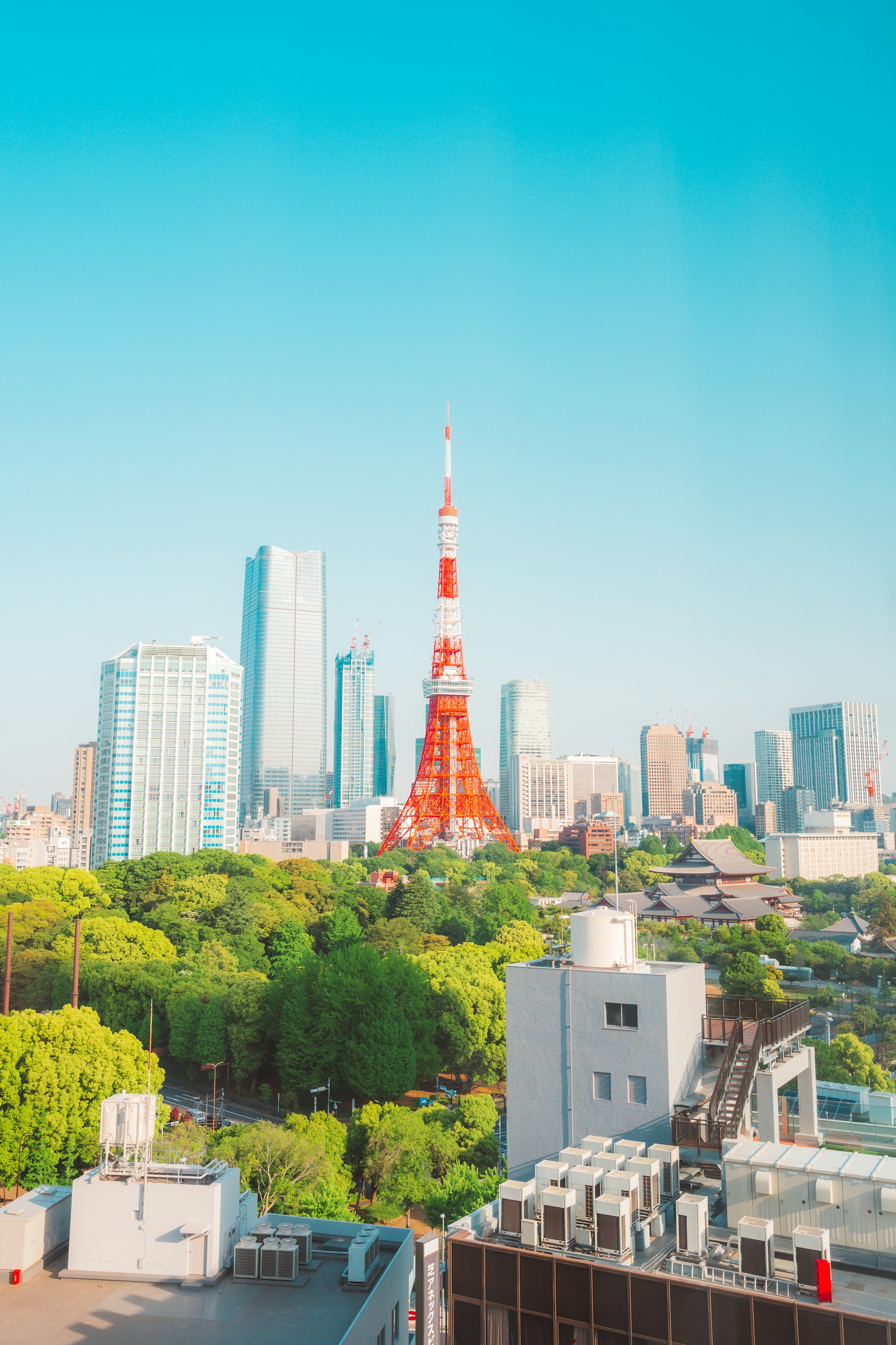 Tokyo Tower rising above the city skyline and surrounding greenery